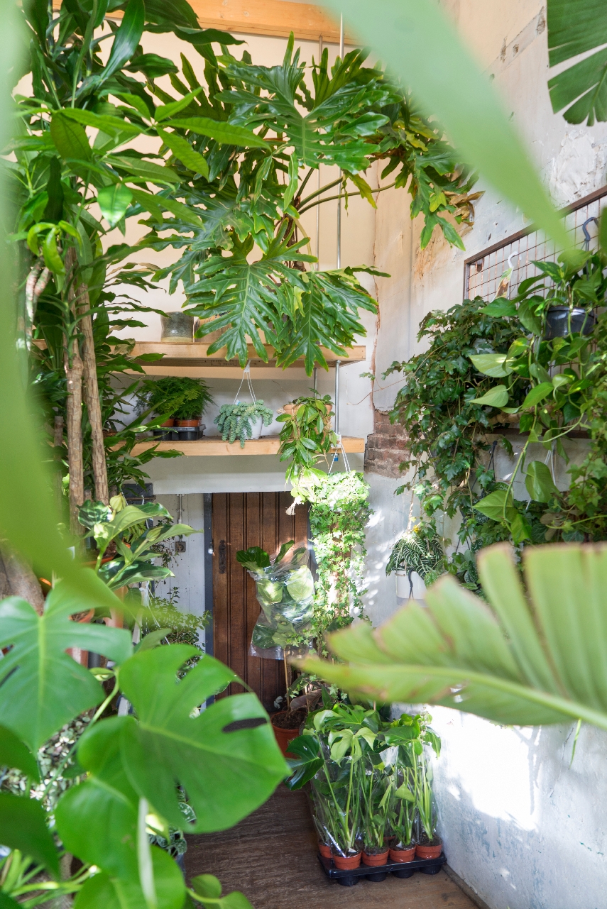 urban-jungle-bloggers-conservatory-archives-17