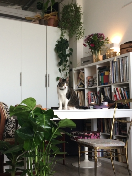 Living With Plants And Cats - Urban Jungle Bloggers