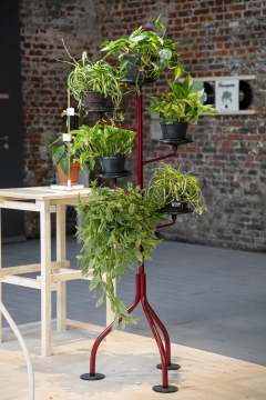 Plant Fever exhibition by studio d-o-t-s CID Grand Hornu Belgium