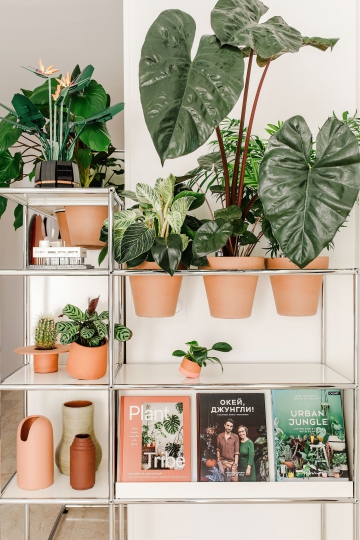 World of Plants for USM Haller – A Southern French hallway - Urban ...